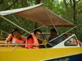 Tn PPTC 331